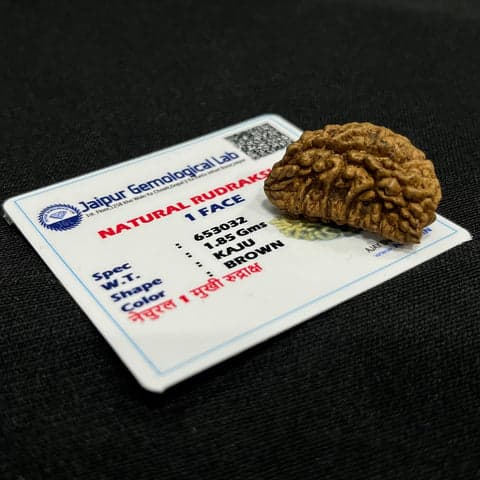 1 Mukhi Nepali Rudraksha - Ek Mukhi thumbnail 2
