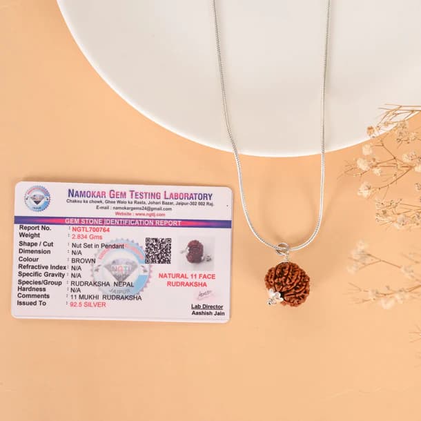 11 Mukhi Nepali Rudraksha - Gyarah Mukhi 2