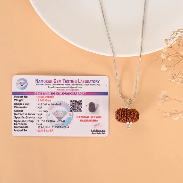 12 Mukhi Nepali Rudraksha - Baarah Mukhi 2