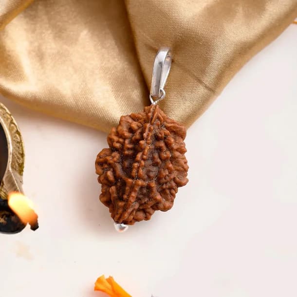 2 Mukhi Nepali Rudraksha - Do Mukhi
