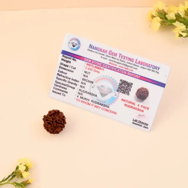 4 Mukhi Nepali Rudraksha - Chaar Mukhi 4