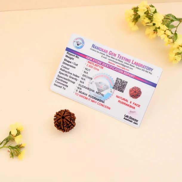 6 Mukhi Nepali Rudraksha - Chhah Mukhi 2