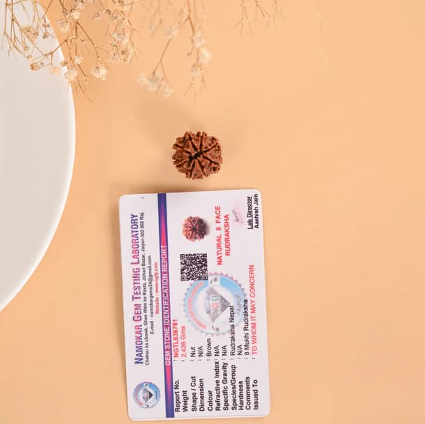 8 Mukhi Nepali Rudraksha - Aath Mukhi 3