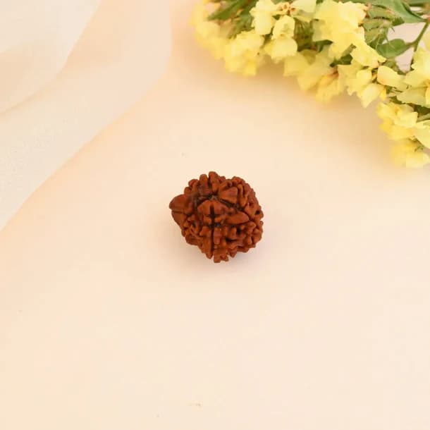 Ganesh Rudraksha 2