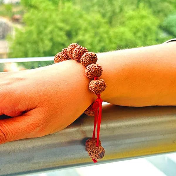 7 Mukhi Rudraksha Bracelet thumbnail 2