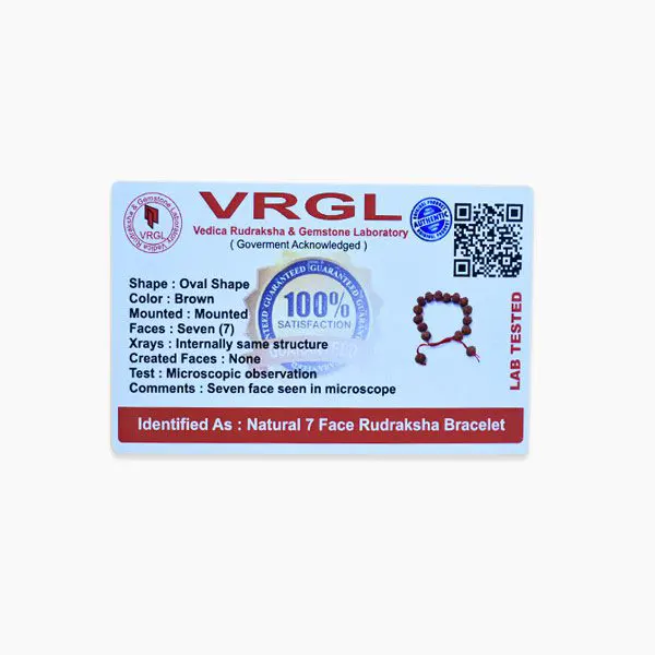 7 Mukhi Rudraksha Bracelet thumbnail 3