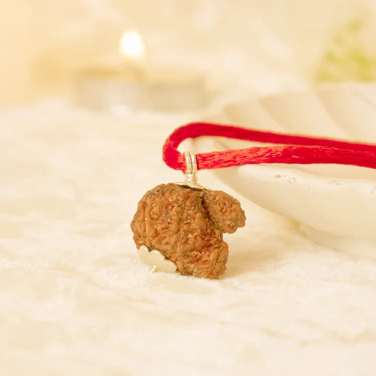 Garv Gauri Rudraksha 2