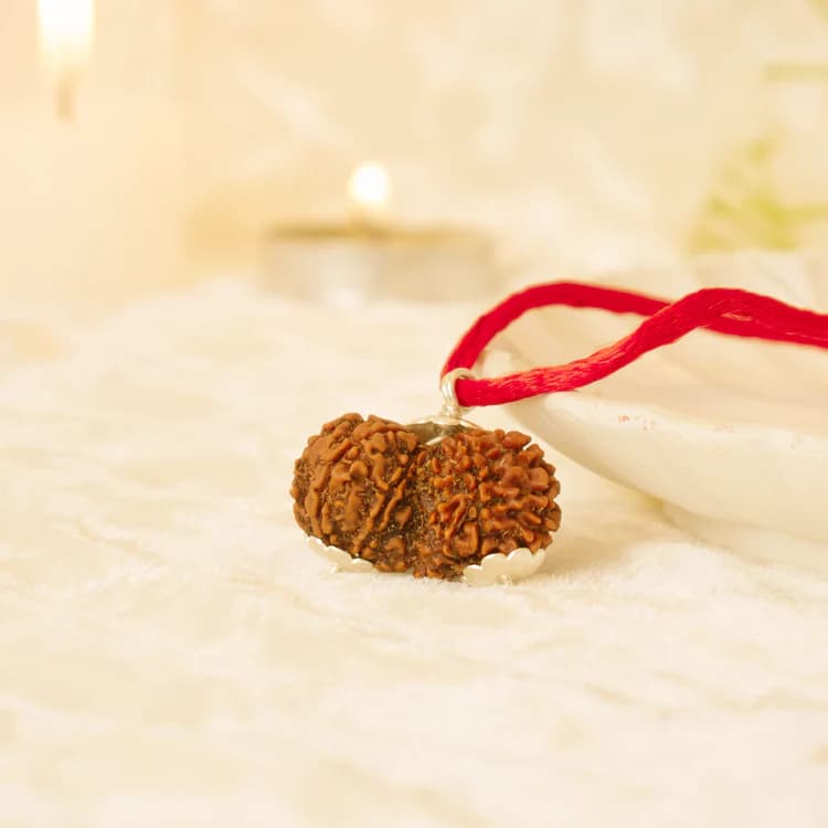 Gauri Shankar Rudraksha 1
