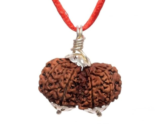 Gauri Shankar Rudraksha thumbnail 3