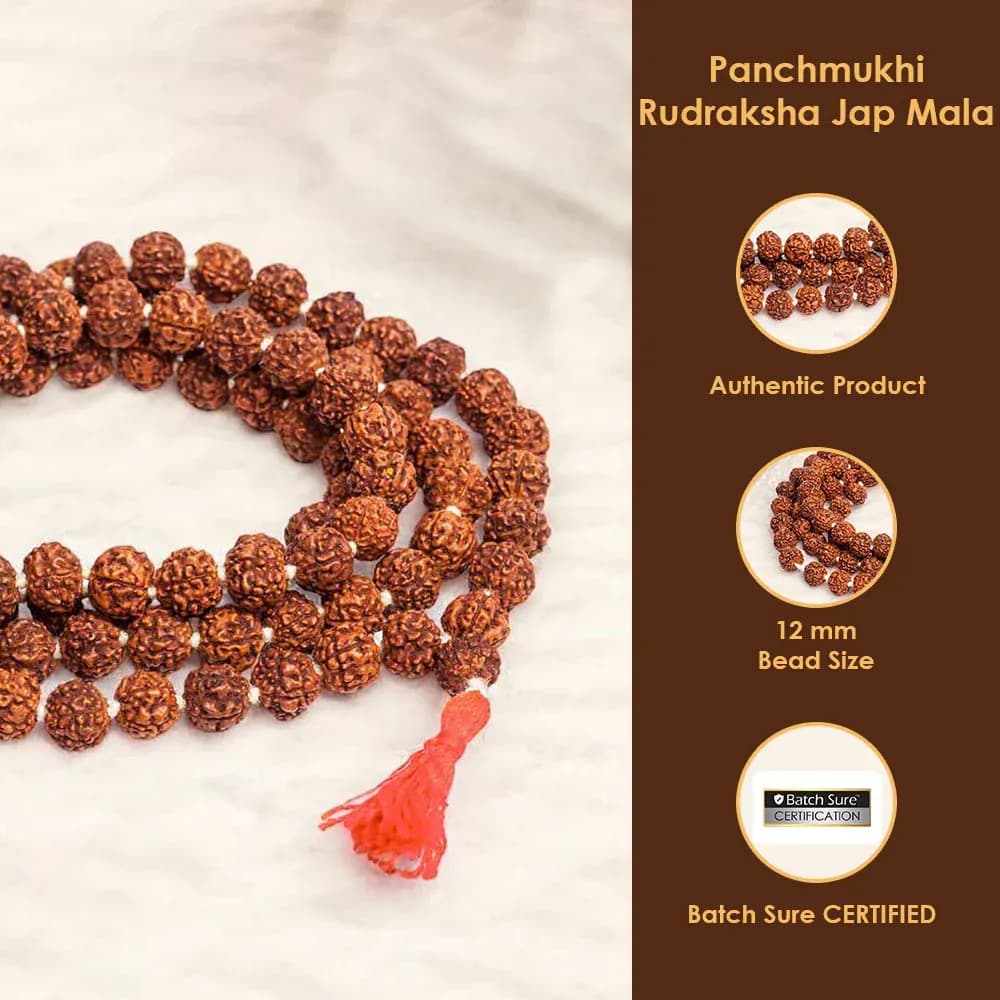 Rudraksha Mala 2